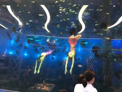 -瑞德姆美人鱼海底演艺主题餐厅(亚龙湾店)