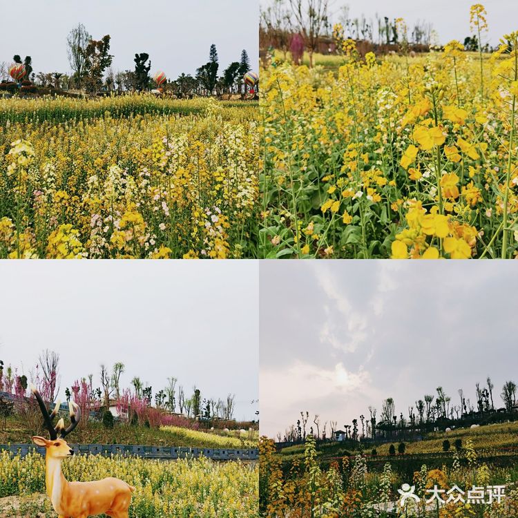 春天应该怎么过❓赏花~拍照~吃火锅❗