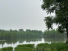 -白鹭湾湿地公园