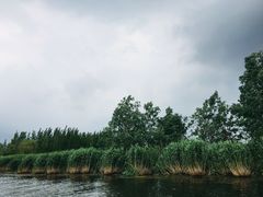 -白洋淀景区