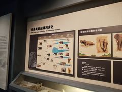 -大庆市博物馆