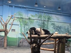 -秦皇岛野生动物园