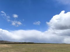 -御道口草原森林风景区