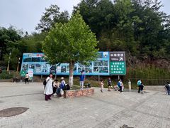 -栾川竹海野生动物园