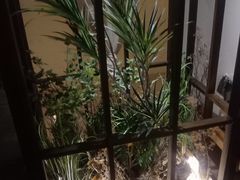 -三一行馆·日式禅意SPA足道·高空观景(解放碑店)