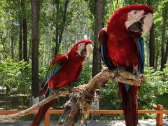 -北京野生动物园