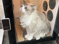 -暖阳宠物医院·犬猫康复中心·骨科
