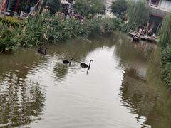 -眉山湿地公园(东坡区)