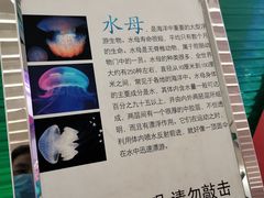 -乐汇城