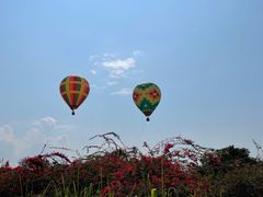 -中国科学院西双版纳热带植物园