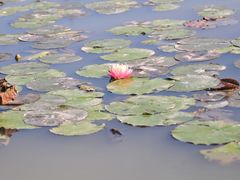 -漩门湾国家湿地公园