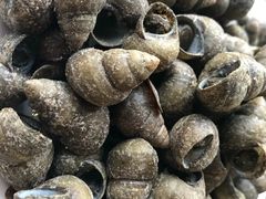 -大莲湖农家乐(青西郊野公园店)