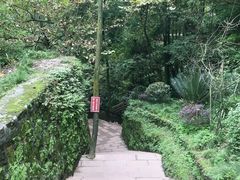 -青城山