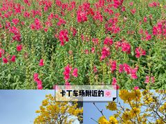 -观澜湖生态运动公社