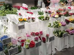 -盒马X会员店(王府井奥莱UP TOWN店)