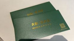 -大树儿童摄影
