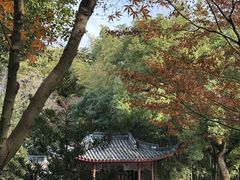 -汇龙潭