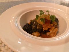 -蝶舍·MAISON PAPILLON