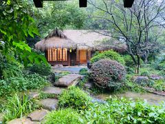 -中国茶叶博物馆(双峰馆区)