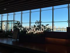 -Seesaw Coffee(朝阳大悦城店)