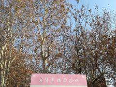 -西安电影制片厂