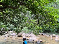 -广州白江湖森林公园