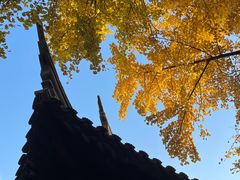 -西园戒幢律寺
