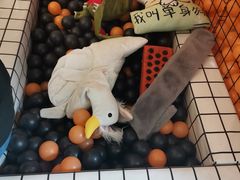 -机械师超级密室(小寨华旗店)
