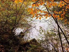 -叠溪松坪沟景区