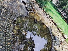 -成都市活水公园