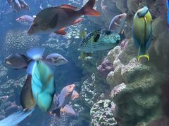 -海合安青岛极地海洋公园