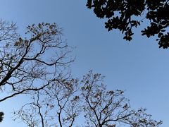 -比格比萨自助(南京万达茂店)