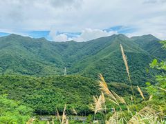 -梧桐山风景名胜区