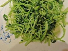 -鸽子窝(宋庄店)