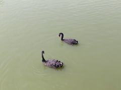 -无锡动物园·太湖欢乐园