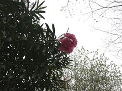 -人民公园(罗湖区)