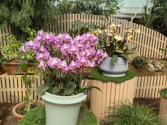 -郑州中国绿化博览园