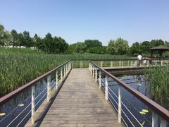 -同里国家湿地公园