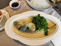-沈灶河豚宴·河豚融合餐厅(汉中路店)