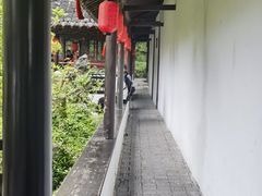 -上海醉白池公园