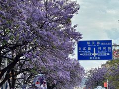 -西昌邛海湿地