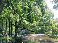 -楼外楼(玉泉店)