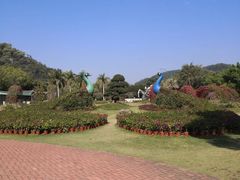 -东南花都花博园