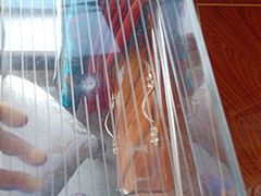 -重庆轻喜到家家政保洁