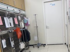 -美联众合动物医院·24h京西诊疗中心