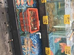-大门水乡·顺德菜