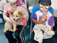 -北京赛佳动物医院