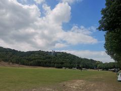 -羊山湖公园