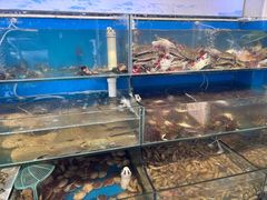-仙螺岛海鲜自助餐厅(总店)