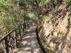 -遂昌金矿国家矿山公园
